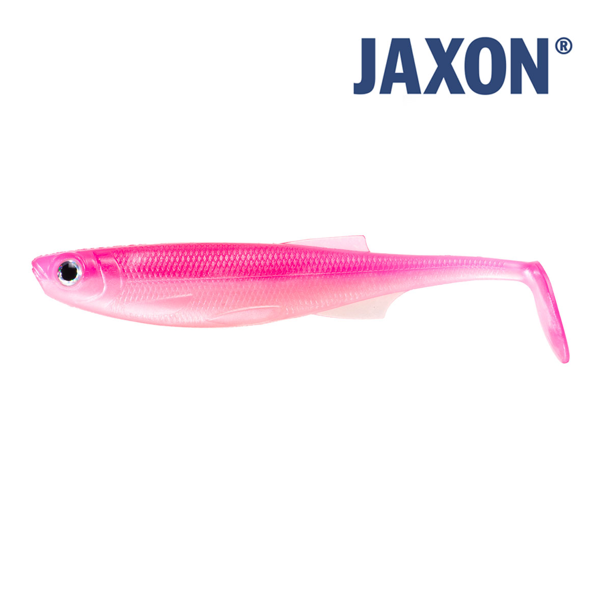 Jaxon TRITON N