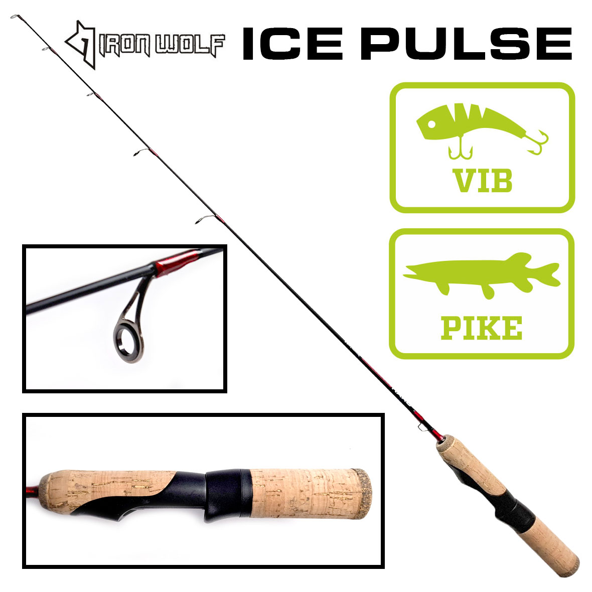 PULSE
